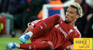 رسميا.. إيكيتيكي يغيب عن كأس العالم 2026